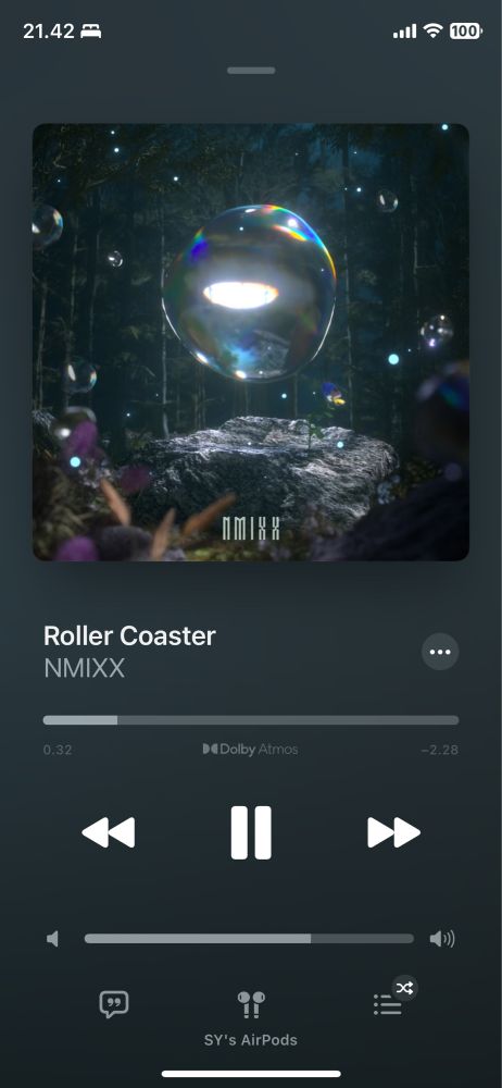 n-mixx roller coaster song
