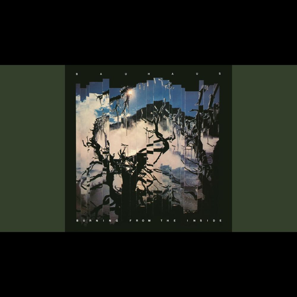 Who Killed Mr. Moonlight