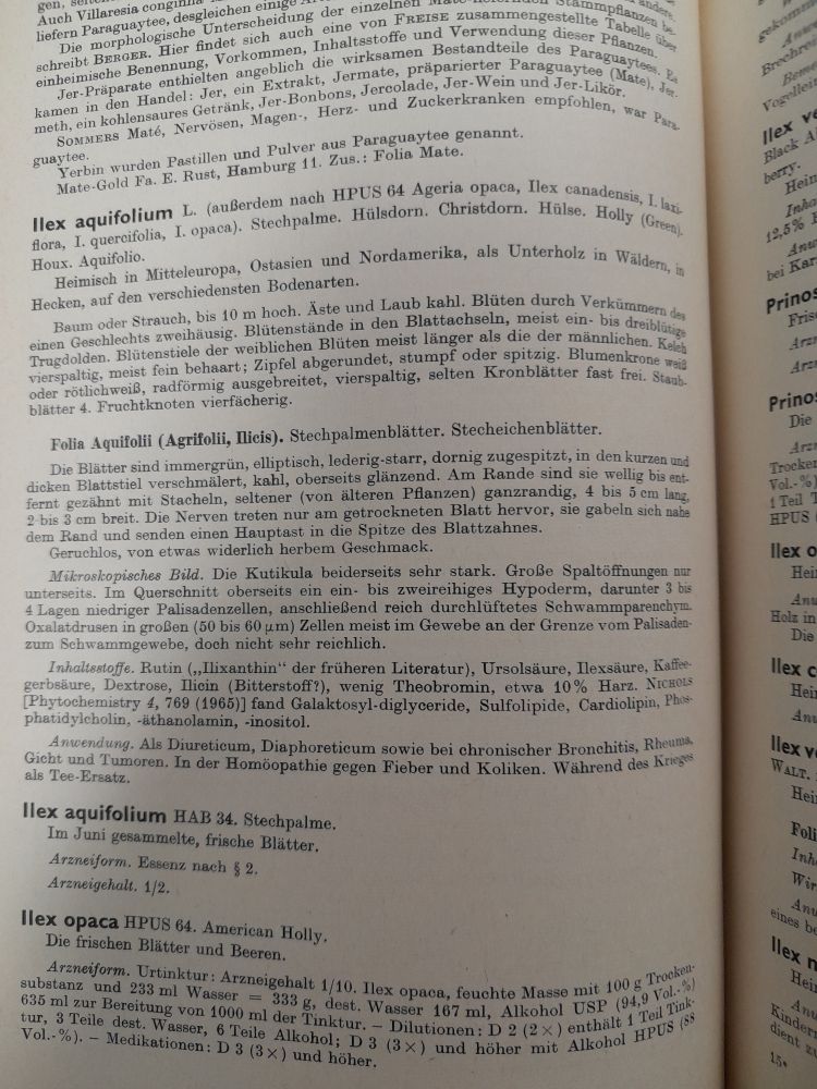 Bleiwüste, ein Buchkapitel über die Inhaltsstoffe verschiedener Ilex-Arten.