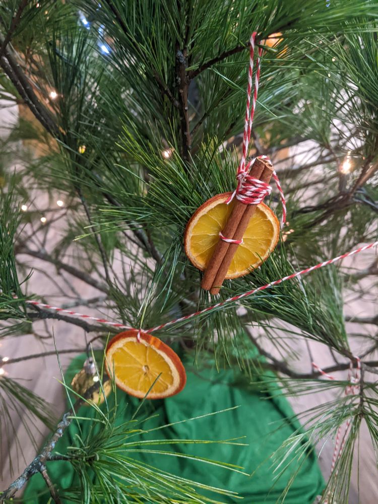 Dried orange slices and cinnamon tied on candy cane colored string 