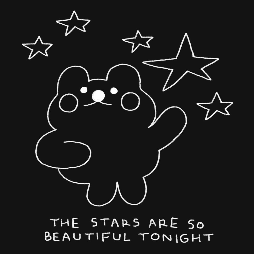 A bear gestures towards several stars above him. Text reads: "the stars are so beautiful tonight".