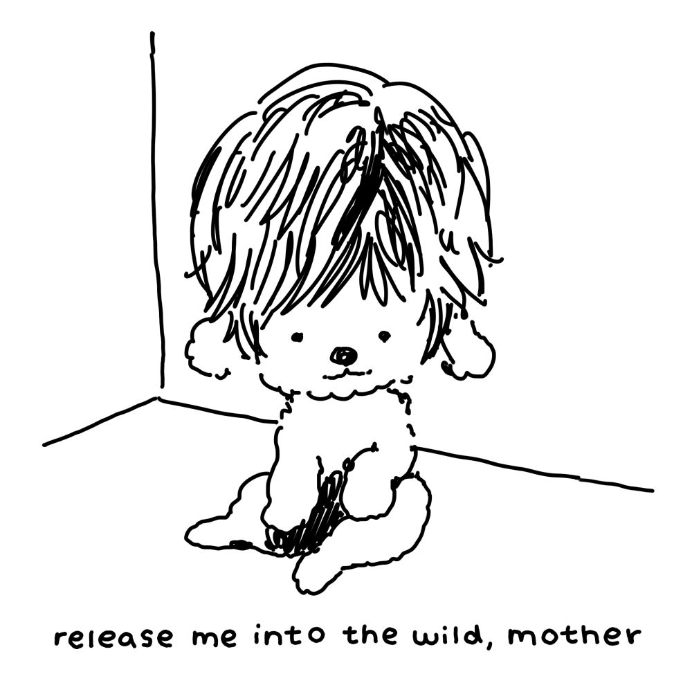 A tiny, fluffy dog with large, 2010 Justin Bieber hair sits on the floor. Text reads: "release me into the wild, mother".