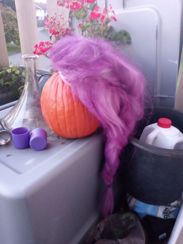 Styled and painted purple Spirit Halloween wig on-top of a pumpkin 