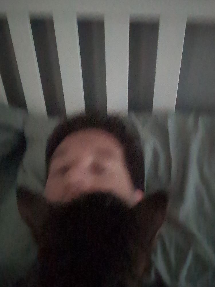 A cat demanding I give him more pets