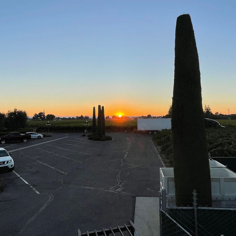 Sun rises in the distance over vineyard with a white tractor trailer and mostly empty parking lot in the foreground.