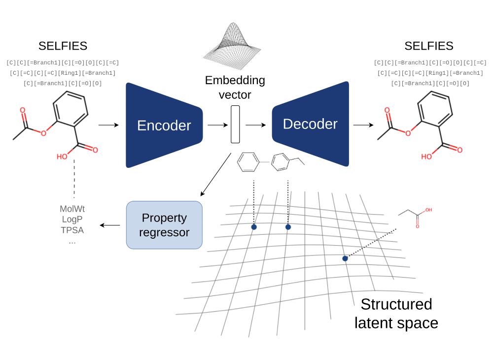 Graphical abstract of our VAE. The encoder inputs a SELFIES string representing a molecule and encodes into an embedding vector in a structured latent space. The decoder can decode this embedding vector into the original molecule.