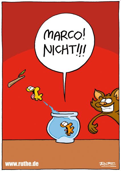 Ein Fisch springt aus einem Goldfischglas und jagt, wie ein Hund, einem Stöckchen hinterher, dass eine Katze mit hämischem Blick geworfen hat. Ein im Goldfischglas zurück gebliebener Fisch brüllt panisch: "MARCO! NICHT!!!"