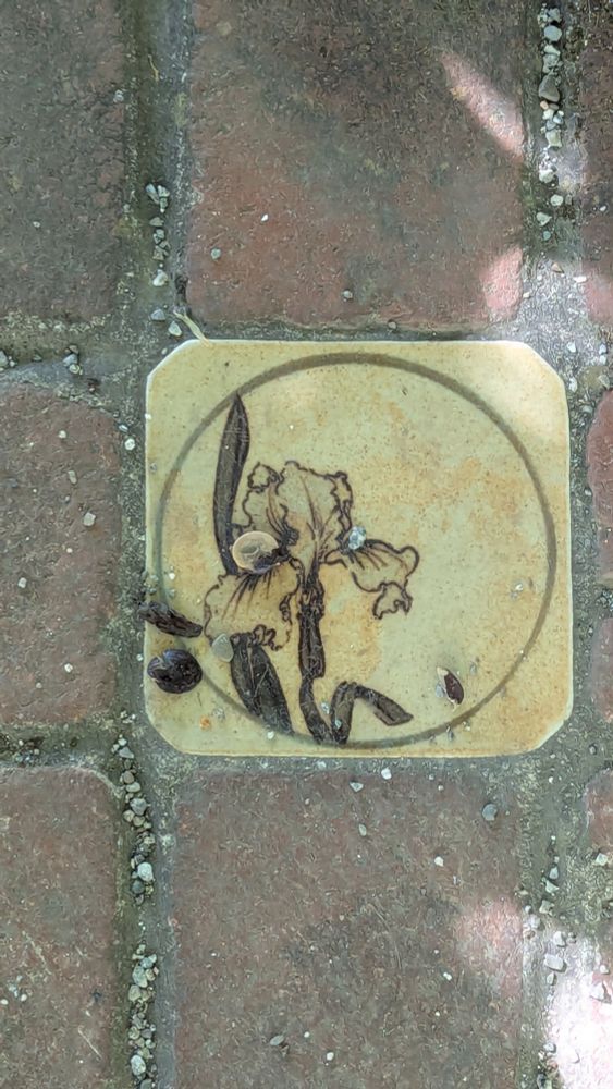 Painted tile inset into brick courtyard. Tile shows an iris. Photo by Ellen Friedman