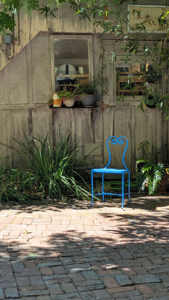 Photo of grey wooden wall with a window shelf. Shelf has ceramic cat and 2 potted plants. Below, a bright blue chair stands at the edge of sunlight on brick courtyard ground. Photo by Ellen Friedman