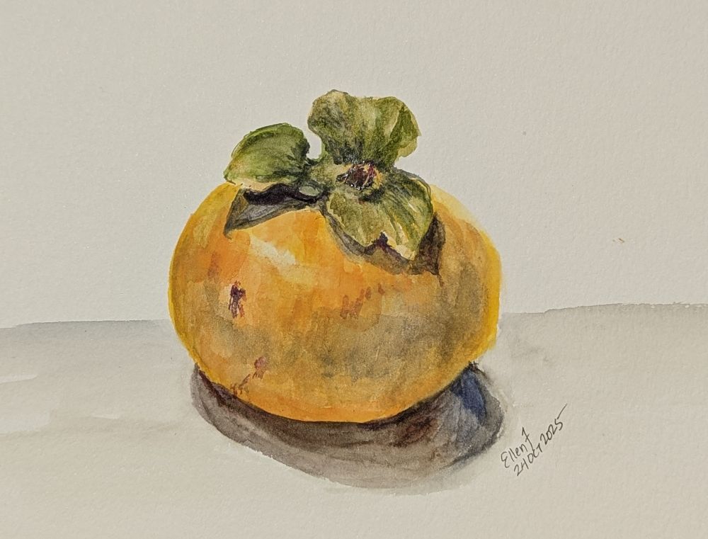 Watercolor painting of a single persimmon that is not quite ripe and shows yellowish orange color with a three-part green sepal and a small stem. Painting by Ellen Friedman