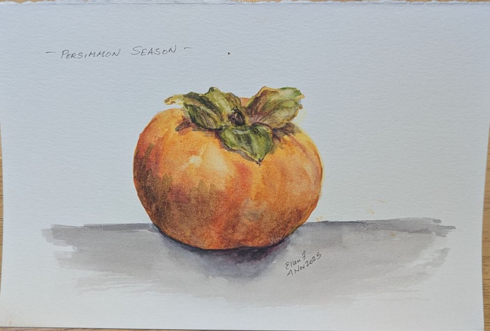 Watercolor painting of a yellow-orange partially ripe persimmon with 4 green sepals at the top. Painting by Ellen Friedman