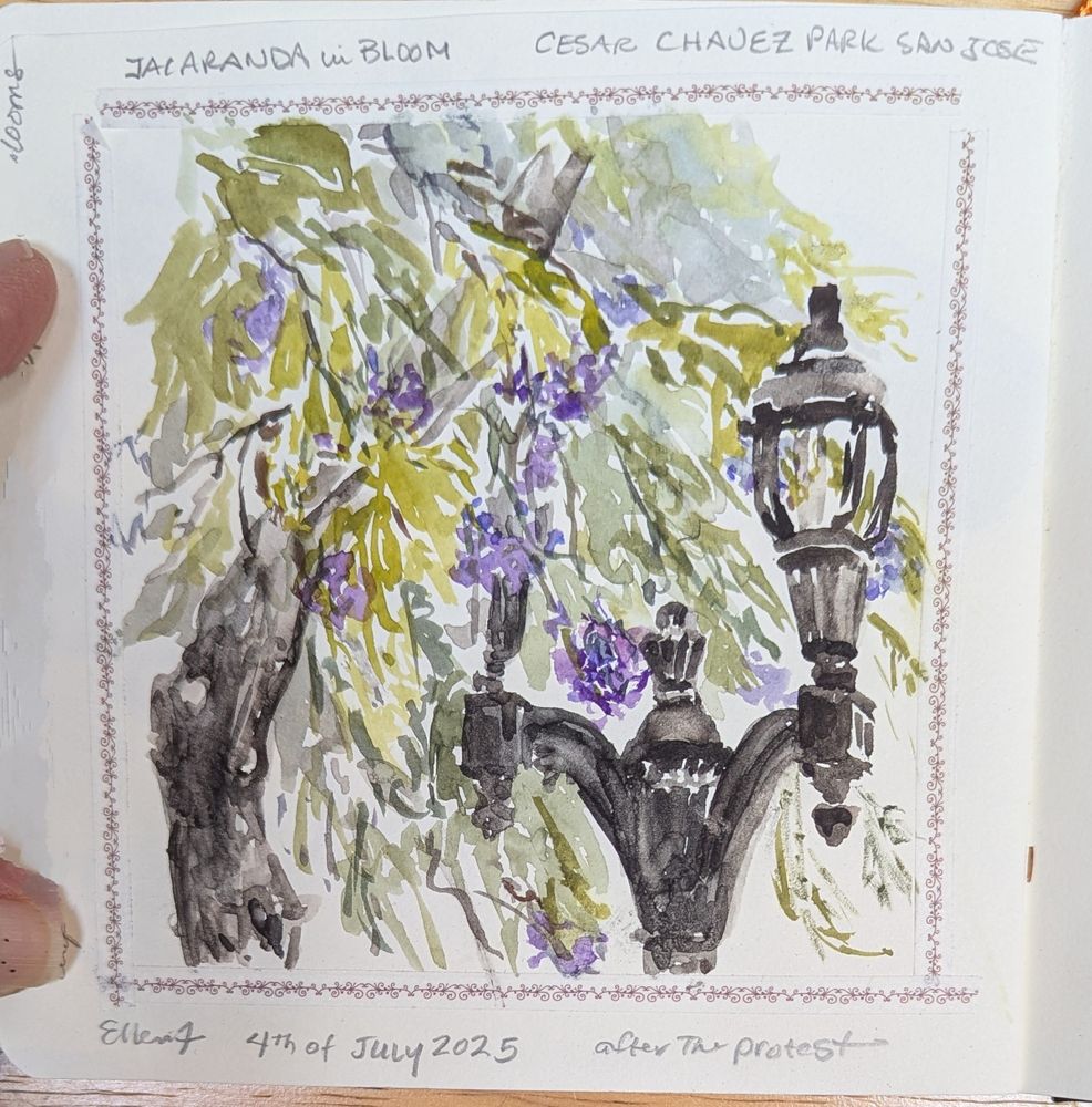 Rough sketch lookin up into blooming Jacaranda tree showing lacy green foliage and clusters of purple blooms. A heavy tree trunk rises up through foliage on left and leaves & blooms drape across old-fashioned street lamp. Watercolor + liquid charcoal painting by Ellen Friedman