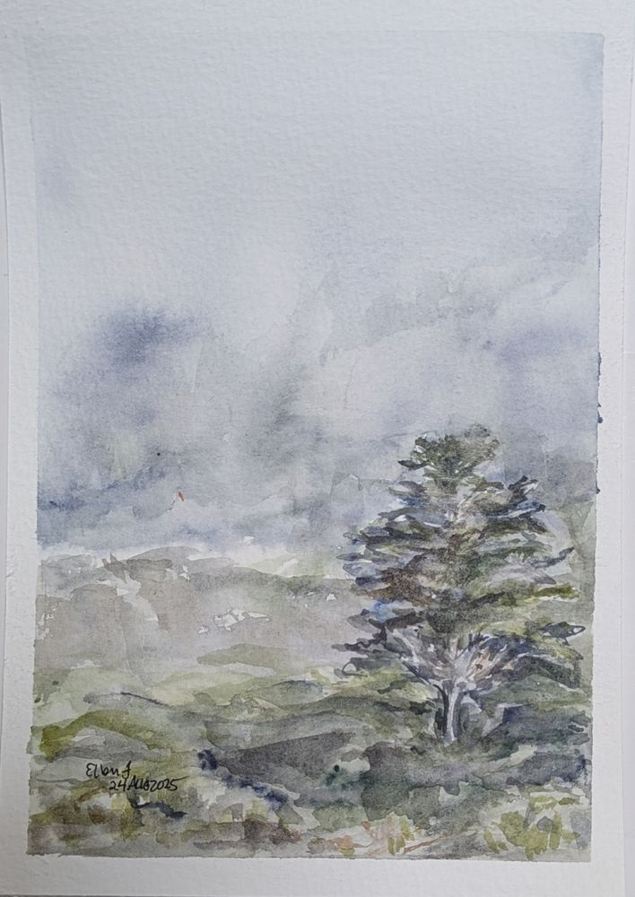 Small watercolor painting of large conifer in right hand foreground against a background of landscape & sky in fog. Painting by Ellen Friedman Aug 2025.