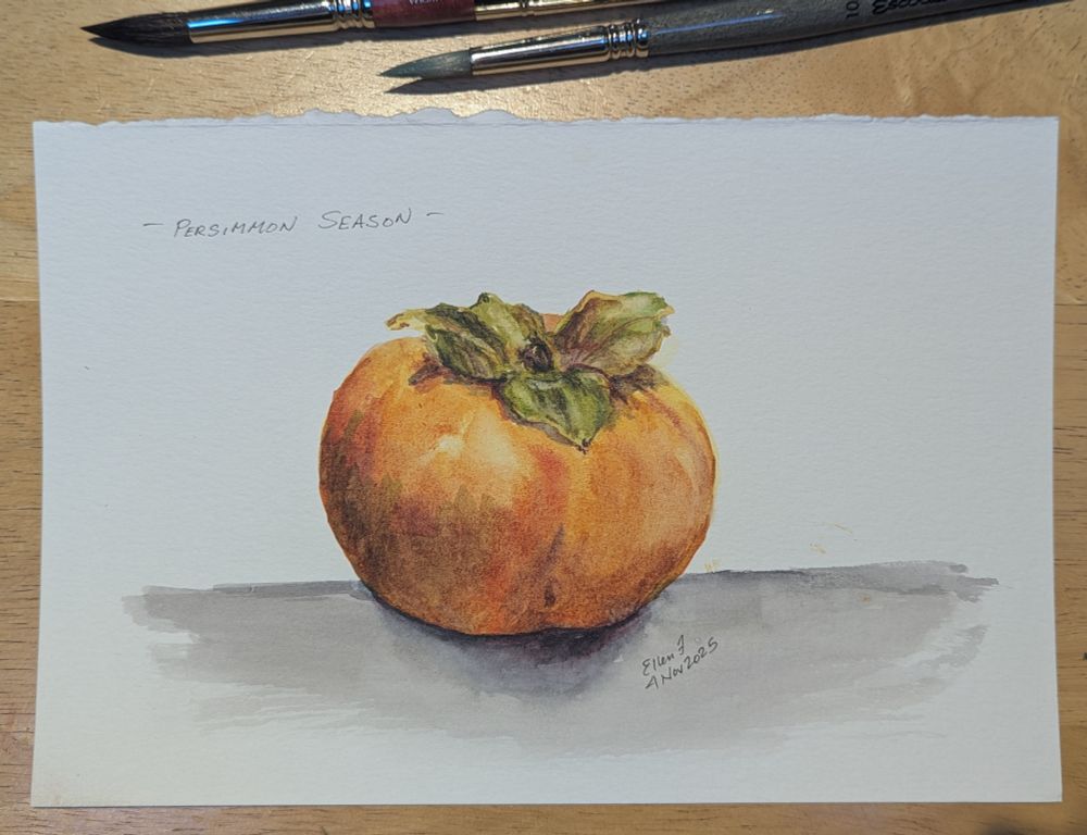 Watercolor painting of an almost ripe, persimmon. Orange and yellow color on the fruit, yellow green and tan sepals at the top. Painting by Ellen Friedman