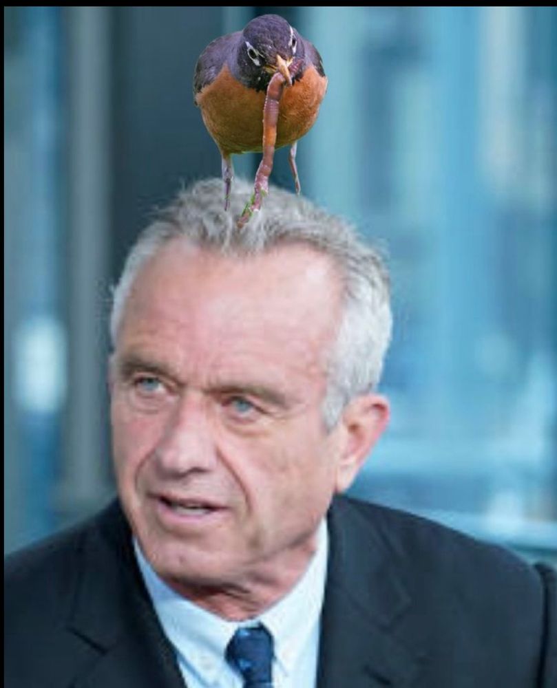 Comment image