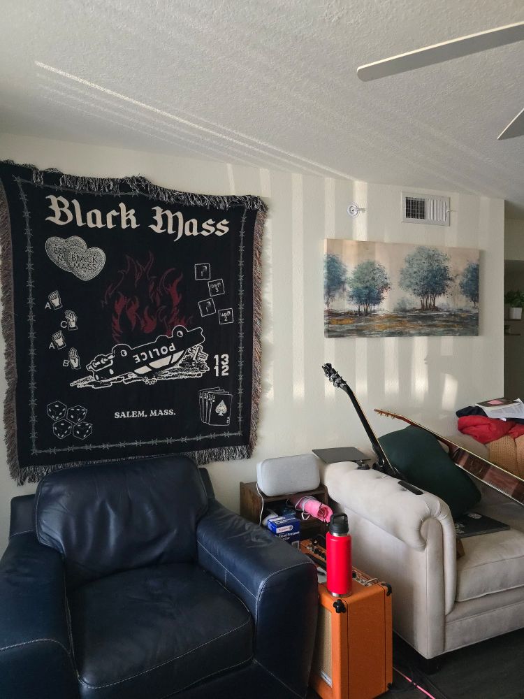 Black Mass handwoven blanket depcting upside down patrol car on fire with the numbers 1312, hangs from a wall in my living room.