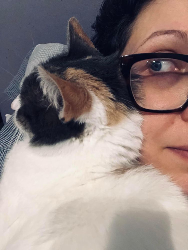 RaRo.exe stop working