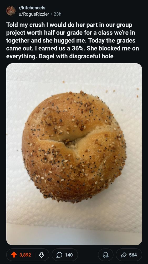 From r/kitchencels with a photo of a hole-less bagel, "Told my crush I would do her part in our group project worth half our grade for a class we're in together and she hugged me. Today the grades came out. I earned us a 36%. She blocked me on everythibg. Bagel with a disgraceful hole."