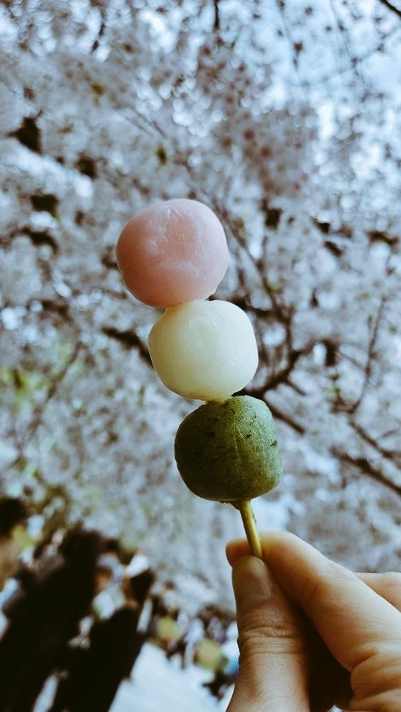 三色団子と桜
