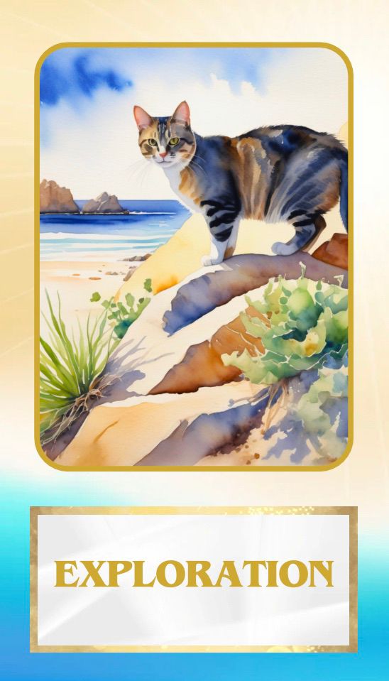 Cat on rocks with sea behind, and the word EXPLORATION.