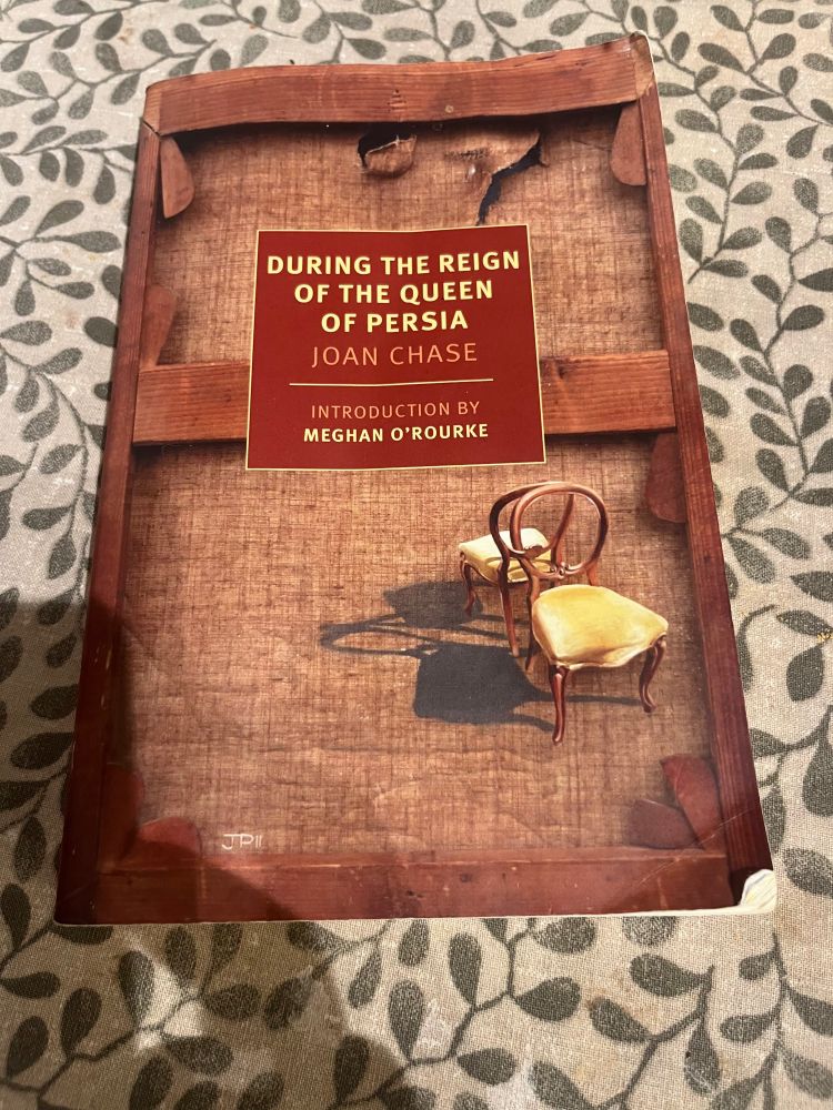 a pocket book: During the Reign of the Queen of Sheba by Joan Chase. First published in 1983, this is the NYRB edition from 2024