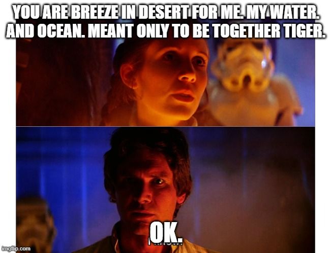 The meme of Princess Leia and Han Solo from The Empire Strikes Back where she says 'I love you' and he replies 'I know' with captions suggesting she is saying 'You are breeze in desert for me. My water. and ocean. Meant only to be together tiger.' and he is replying 'Ok.'