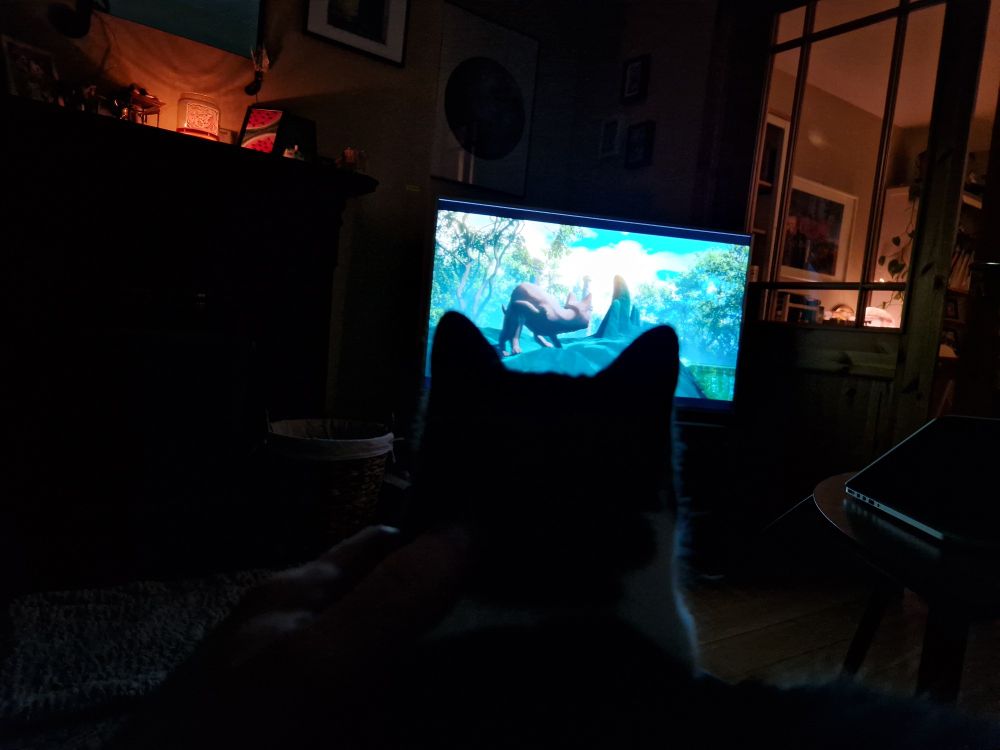A dark living room, a scene from the animated film Flow is on the TV. A cat sits in the foreground, watching the cat in the film.