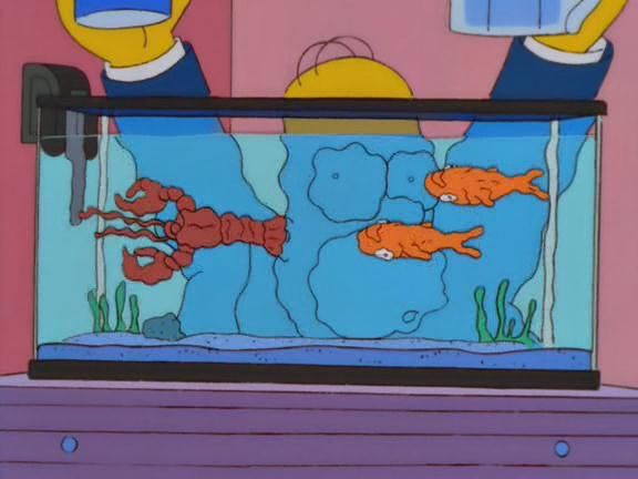 Homer Simpson alternates pouring salt and water into a fish tank with two goldfish and a lobster in it. Too much salt and the fish go belly-up. Too much water and the lobster does. Finally he gets it balanced where both fish and lobster are floating mid-tank on their sides.