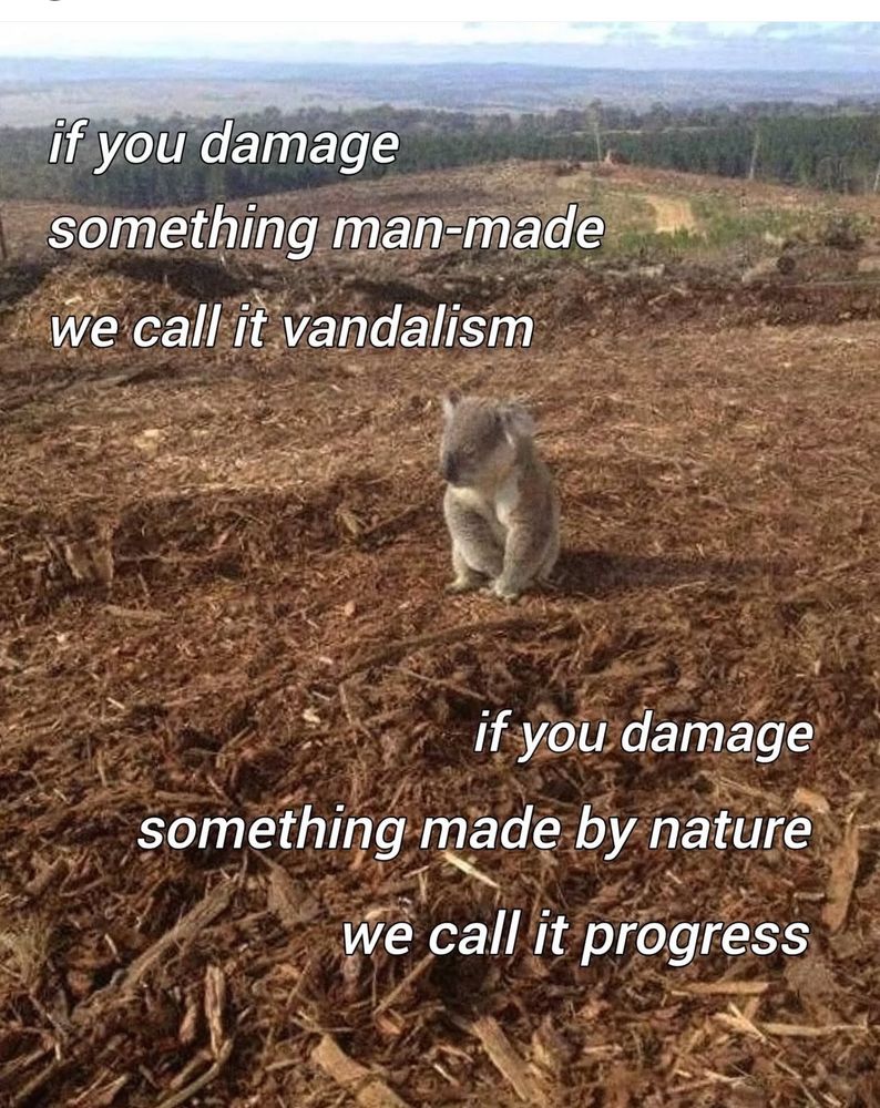 if you damage
something man-made we call it vandalism

if you damage
something made by nature we call it progress