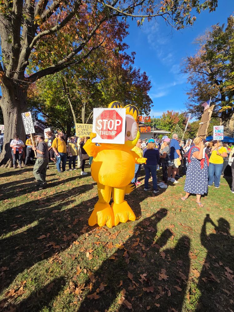 Garfield costume at No Kings Frederick 