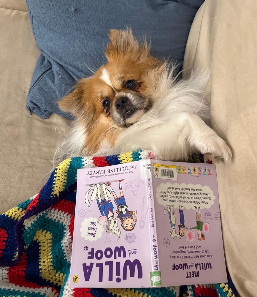 Tibetan spaniel reading a book