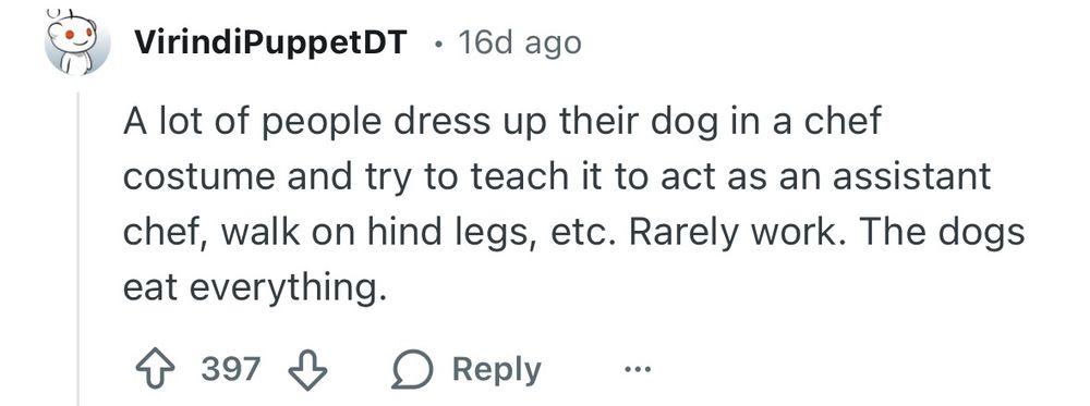 Reddit comment: A lot of people dress up their dog in a chef costume and try to teach it to act as an assistant chef, walk on hind legs, etc. Rarely work. The dogs eat everything.