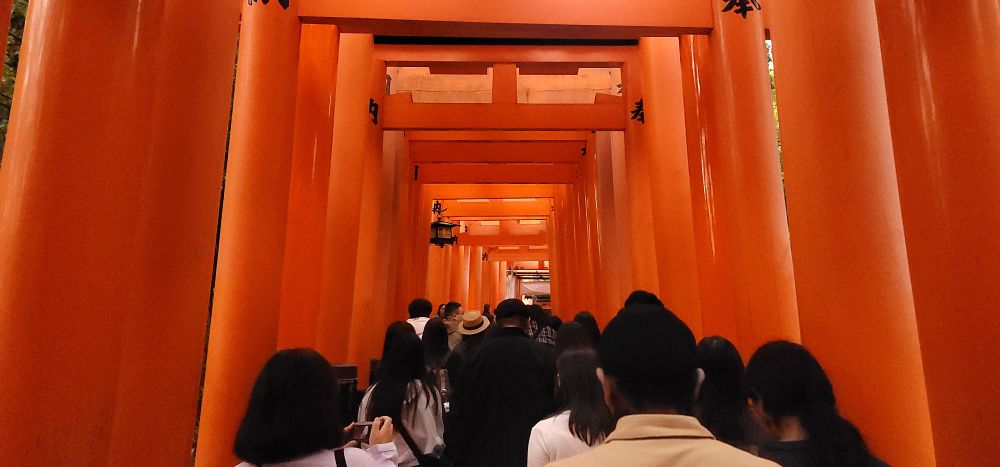The tunnel of torii at Fushimi Inari-taisha. It is vibrantly orange and filled with people.