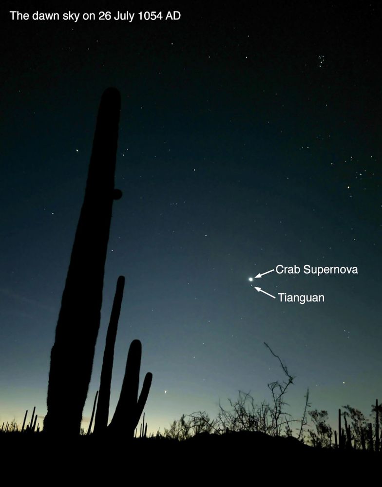 One of the all-time historic skyscapes occured in July 1054, when the Crab Supernova blazed into the dawn sky. Chinese court astrologers first saw the Guest Star on the morning of 4 July 1054 next to the star Tianguan (now cataloged as Zeta Tauri). The supernova peaked in late July 1054 a bit brighter than Venus, and was visible in the daytime for 23 days. The Guest Star was so bright that every culture around the world inevitably discovered the supernova independently, although only nine reports survive, including those from China, Japan, and Constantinople. This iPhone picture is from Signal Hill near Tucson on the morning of 26 July 2025, faithfully re-creates the year 1054 Dawn of the Crab, showing the sky as seen by Hohokam peoples. The planet Venus, as a stand-in for the supernova, is close to the position of what is now the Crab Nebula supernova remnant. Step outside on a summer dawn with bright Venus, and ask yourself "What would you have thought in ancient times when suddenly seeing the Dawn of the Crab?"