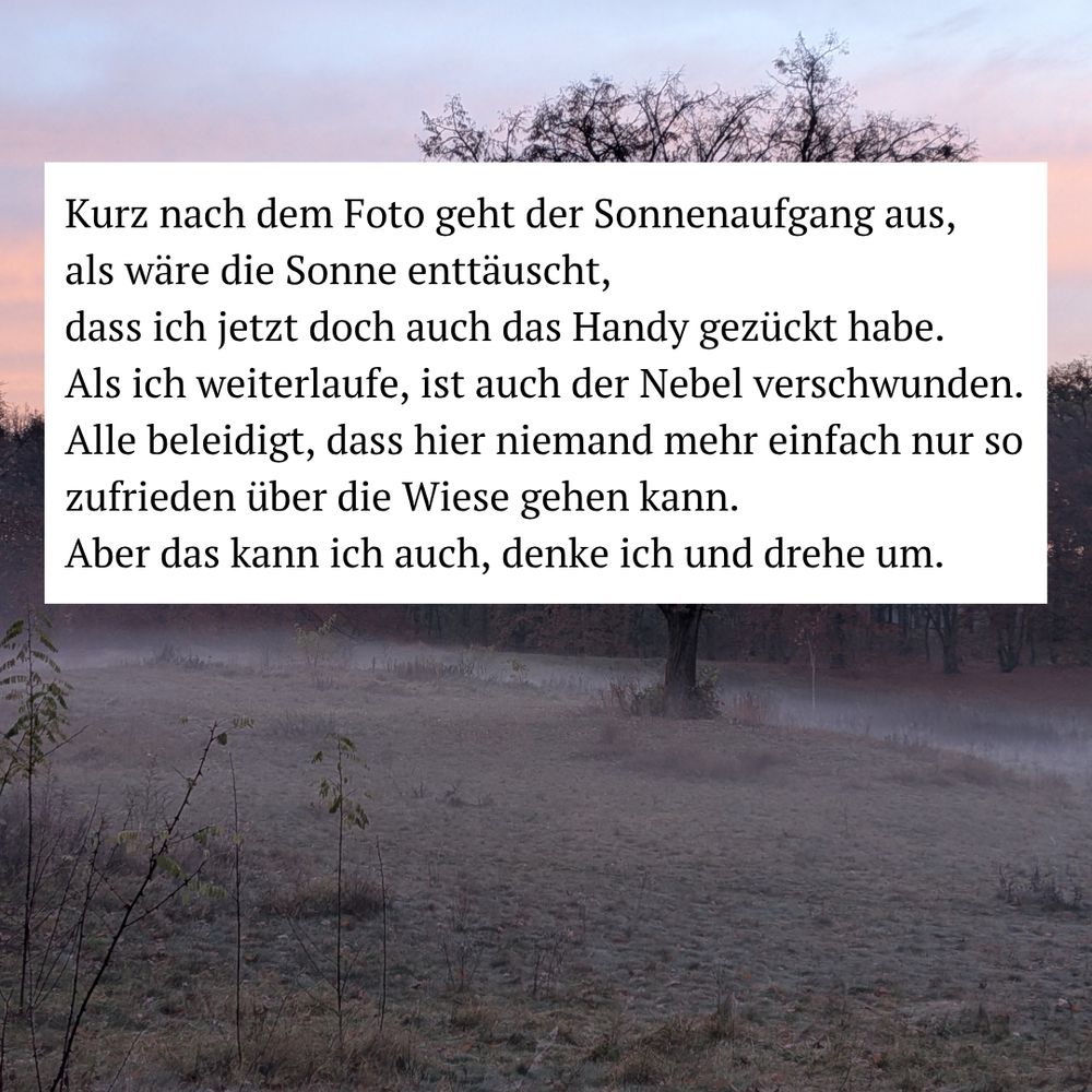 Kurz nach dem Foto geht der Sonnenaufgang aus, als wäre die Sonne enttäuscht, dass ich jetzt doch auch das Handy gezückt habe.
Als ich weiterlaufe, ist auch der Nebel verschwunden.
Alle beleidigt, dass hier niemand mehr einfach nur so zufrieden über die Wiese gehen kann. Aber das kann ich auch, denke ich und drehe um.