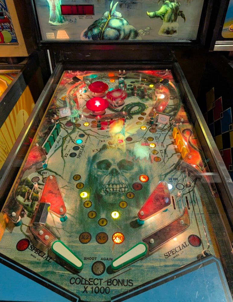 Terrific Lake playfield.  Large skull prominent.