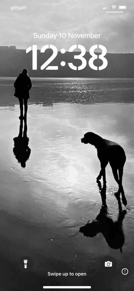 Silhouette images of girlfriend and dog, reflected on a mirror like beach. 