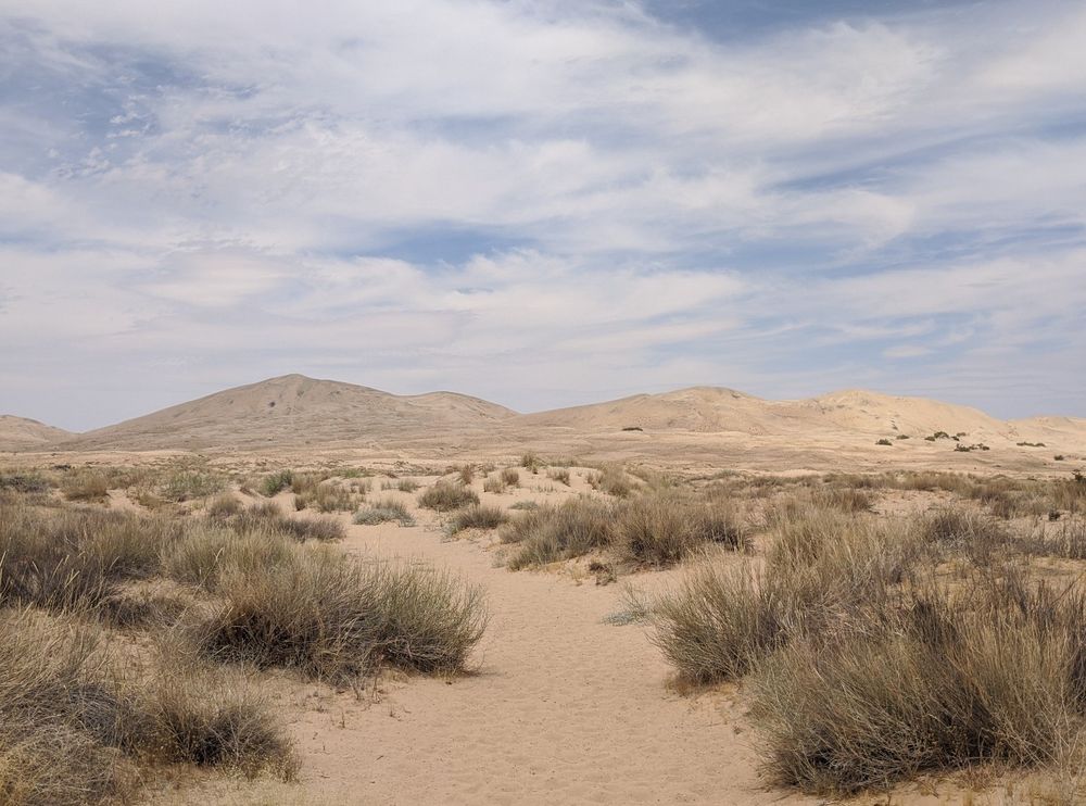 Soft pinkish yellow sand dunes under a blue sky with white drifting clouds in Mojave National Preserve 