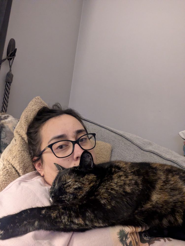 Beautiful tortoise shell cat laying across her owner. Yes, the owner has zit patches on her face. 