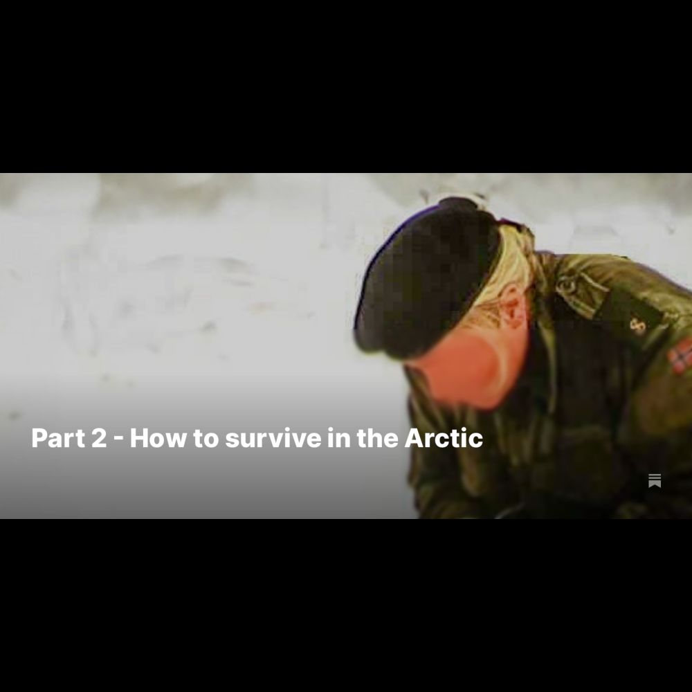 Part 2 - How to survive in the Arctic