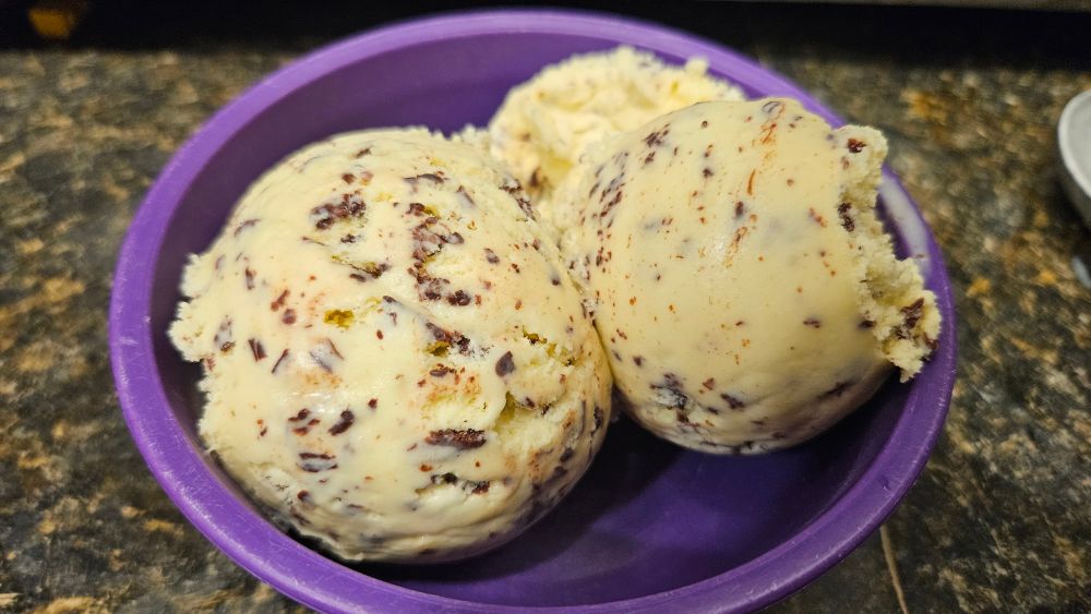 Photo of two scoops of chocolate chip ice cream with very fine chips in a purple plastic bowl. 
