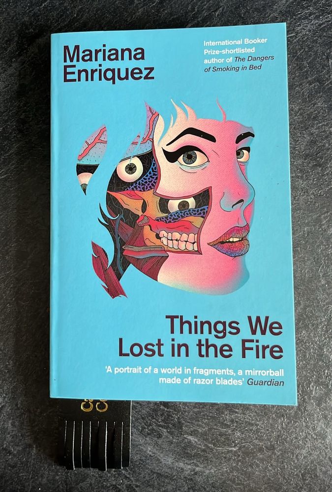 Cover of Things We Lost In the Fire by Mariana Enriquez, featuring an abstract drawing/cutaway of a woman’s face against a blue background 