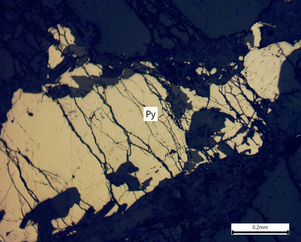 A reflected light photomicrograph a showing yellow-coloured anhedral mineral which is pyrite. The pyrite is fractured in nature by a set of thin veins and cracks running from top to bottom of the image.