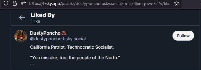 A screenshot of DustyPoncho being the 1 like on a post from DustyPoncho.
