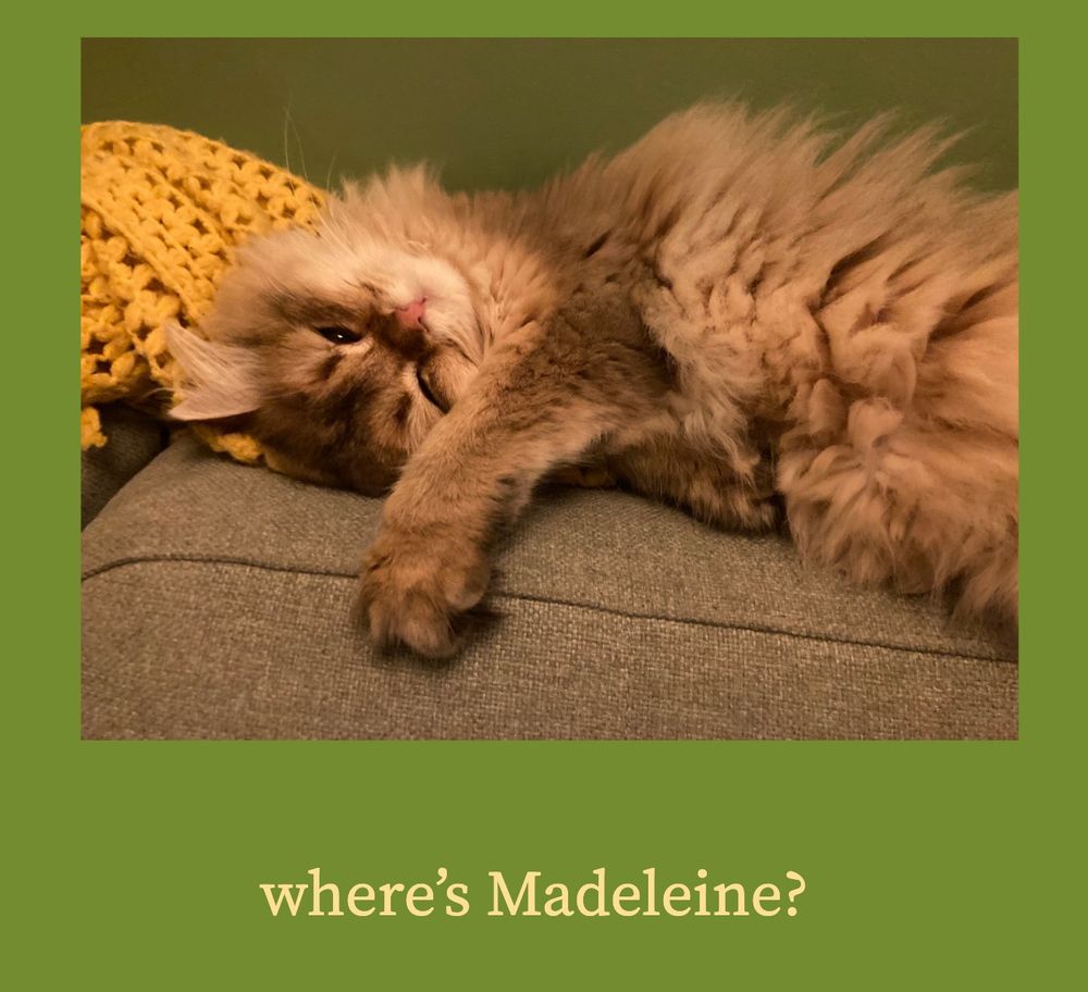 picture of a sleeping cat with "where's Madeleine" written below it - game is very image-dependent, can't be played text-only