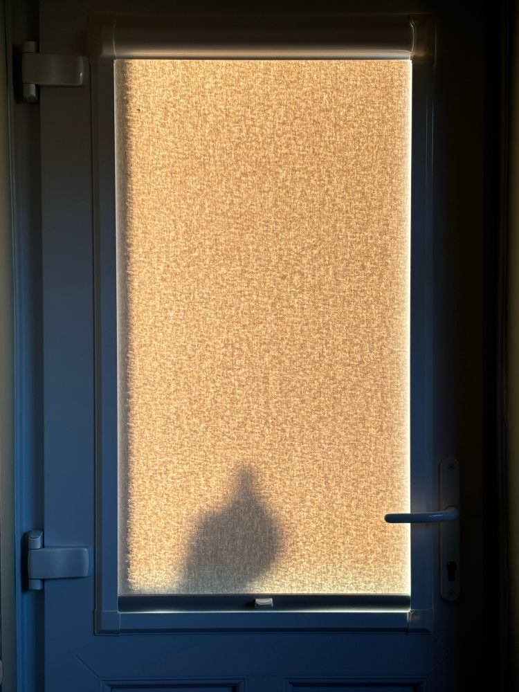 Shadow of a pigeon at the kitchen door showing through the blind 