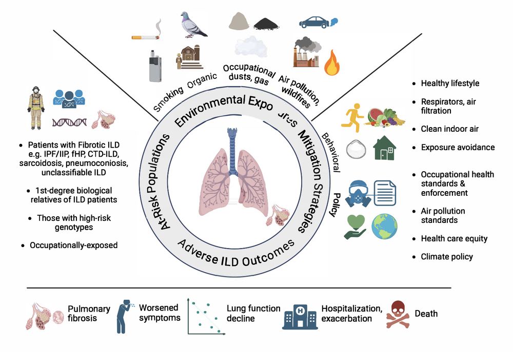 Figure showing exposures, at-risk people, mitigation strategies and ILD outcomes.