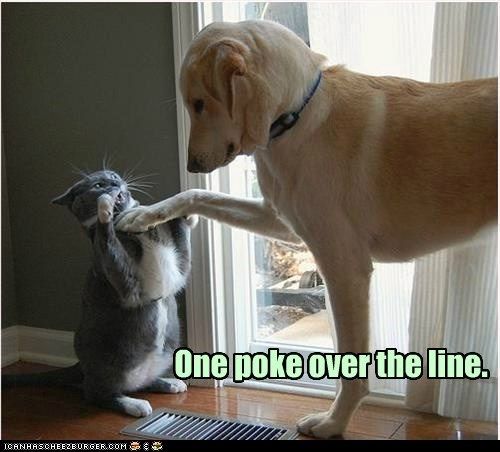 A tan dog pokes a gray and white feline with his paw. The cat, standing on its hind paws, is hissing at the dog. In the lower right corner is the words "One poke over the line."