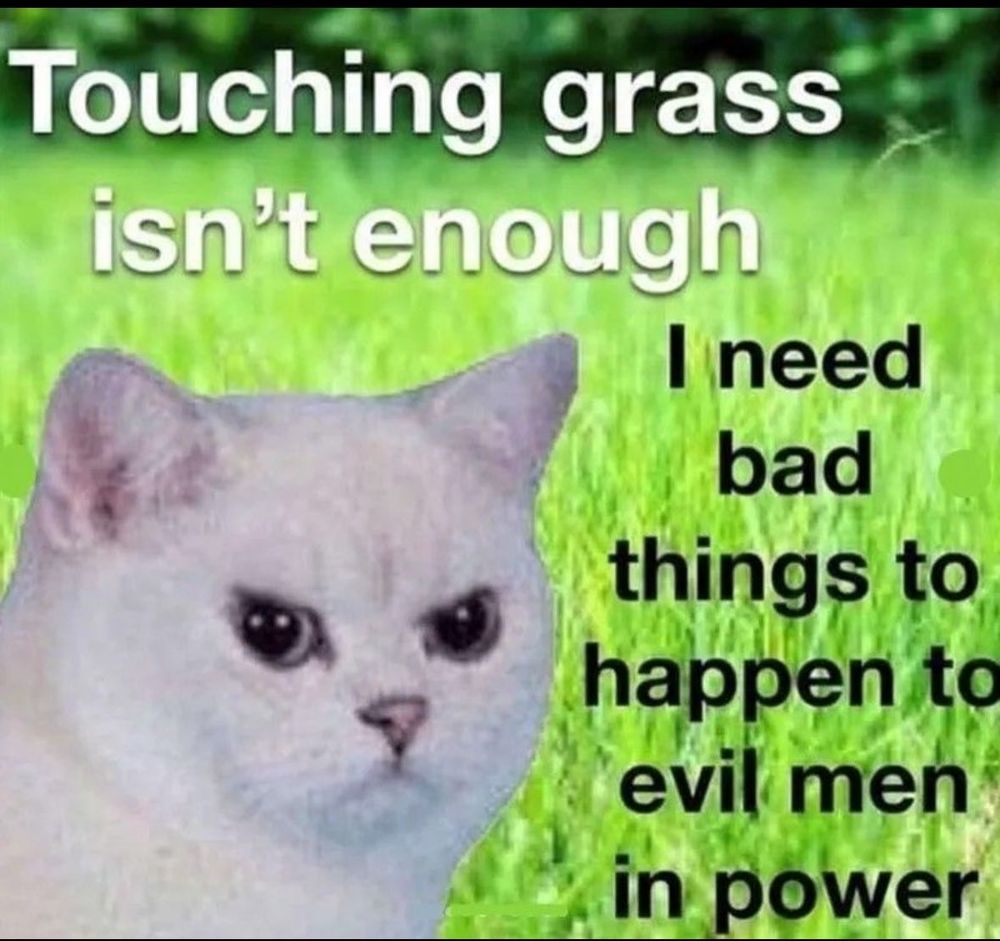 Angry cat in the grass saying:

"Touching grass isn't enough 

I need bad things to happen to evil men in power"