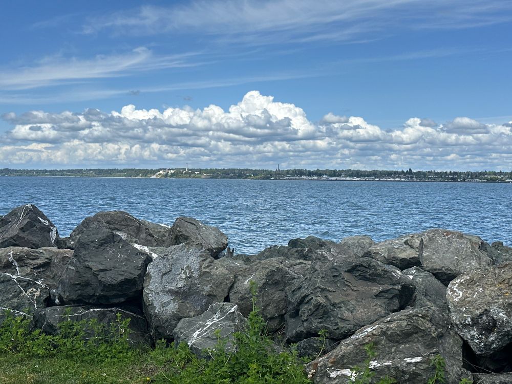 Blue sky with puffy white clouds.
Peaceful ocean water.
Grey, black, and white Rocks.
Green grass.